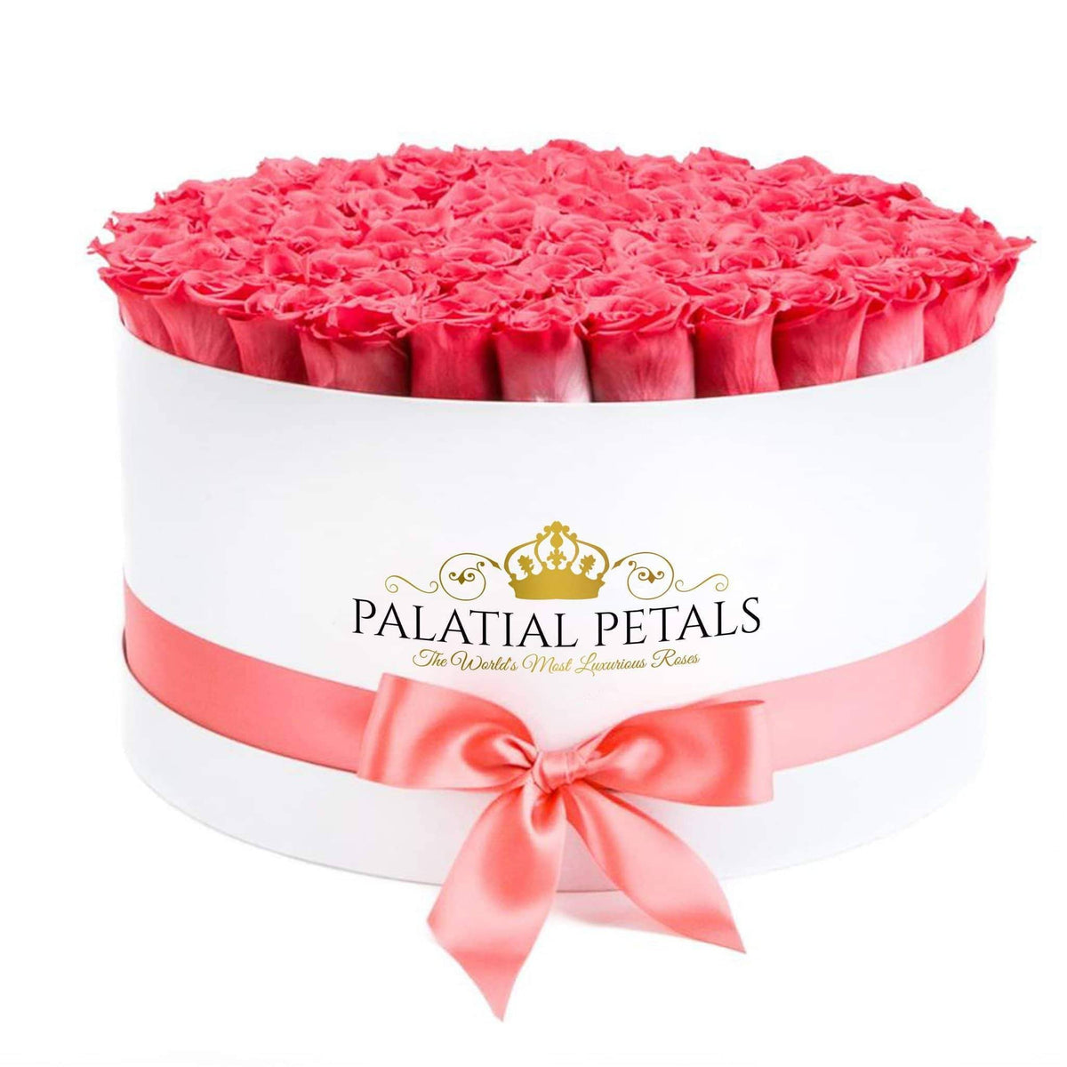Living Coral Preserved Roses in Round Gift Box