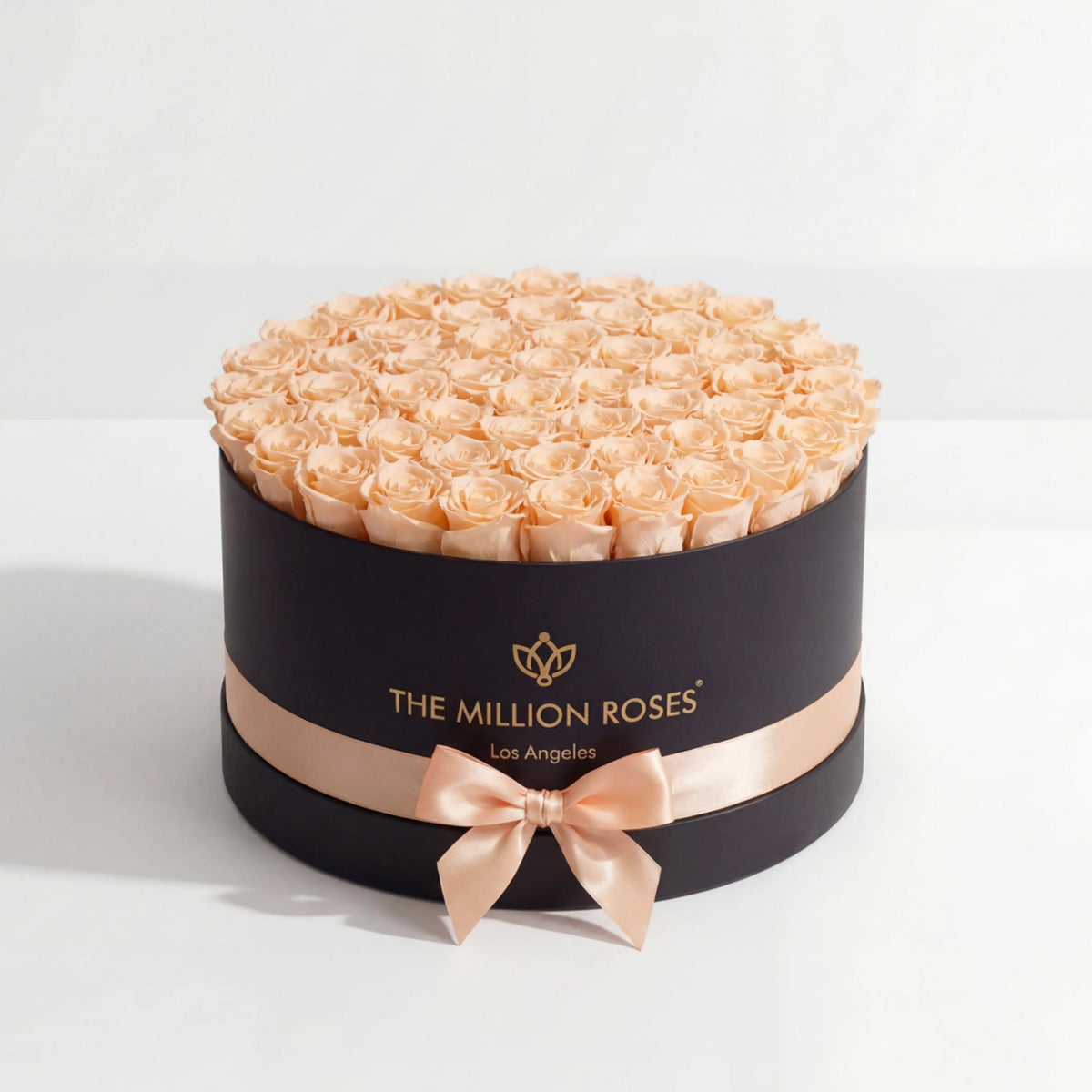 Peach Preserved Roses in Black Round Gift Box