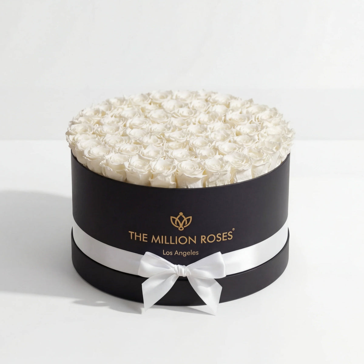 White Preserved Roses in Black Round Gift Box