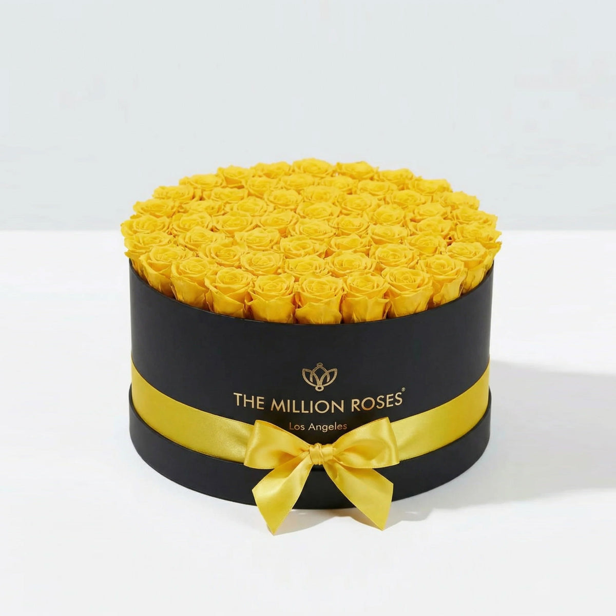 Yellow Preserved Roses in Round Gift Box