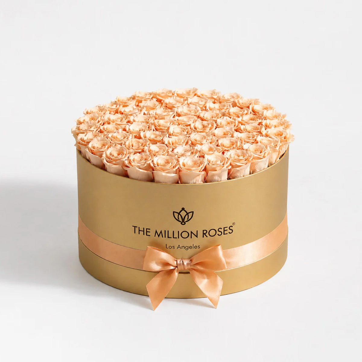 Peach Preserved Roses in Gold Round Gift Box