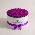 White & Purple Preserved Roses in Round Gift Box