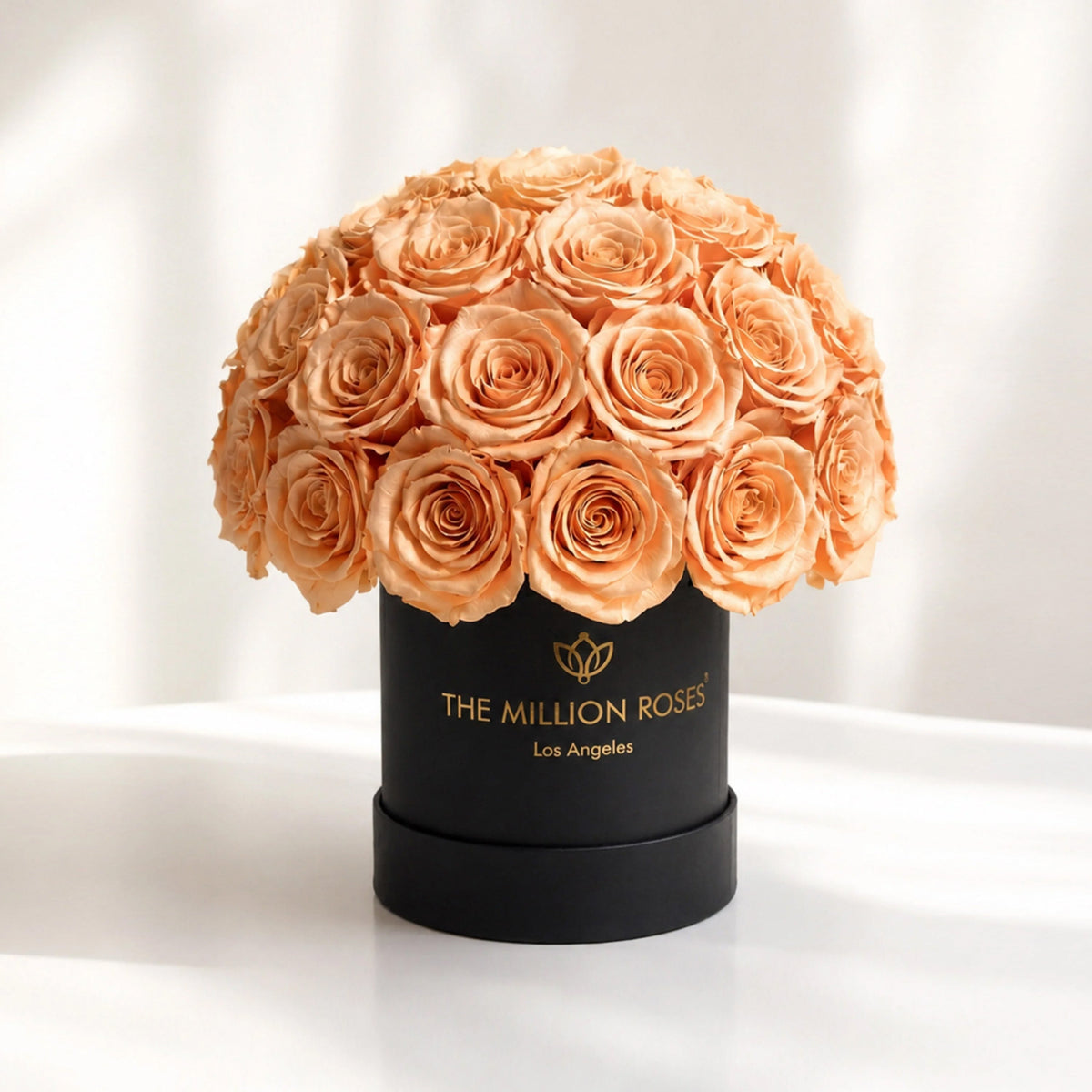 38-40 Peach Preserved Roses in Black Dome Box