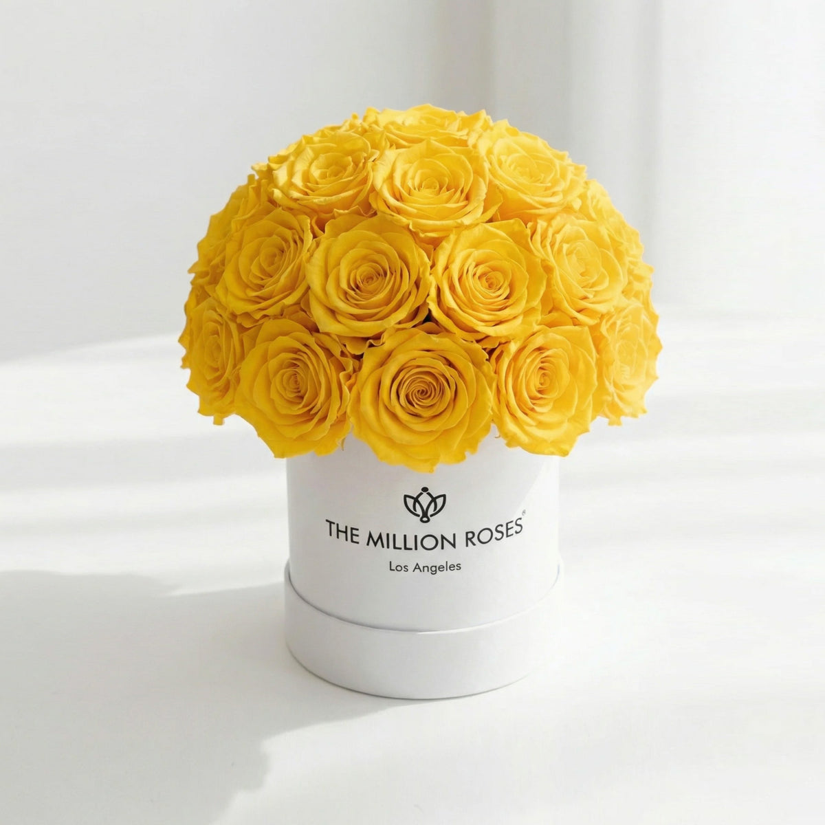 38-40 Yellow Preserved Roses in White Dome Box
