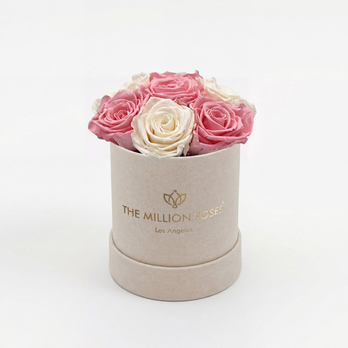 Single Pink Preserved Rose in Essence Beige Suede Gift Box