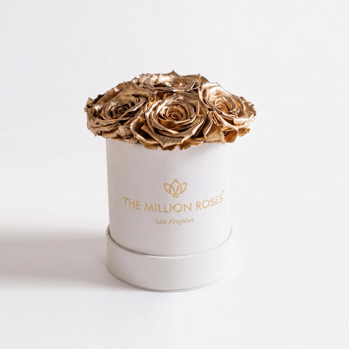 Single Gold Preserved Rose in Suede Gift Box
