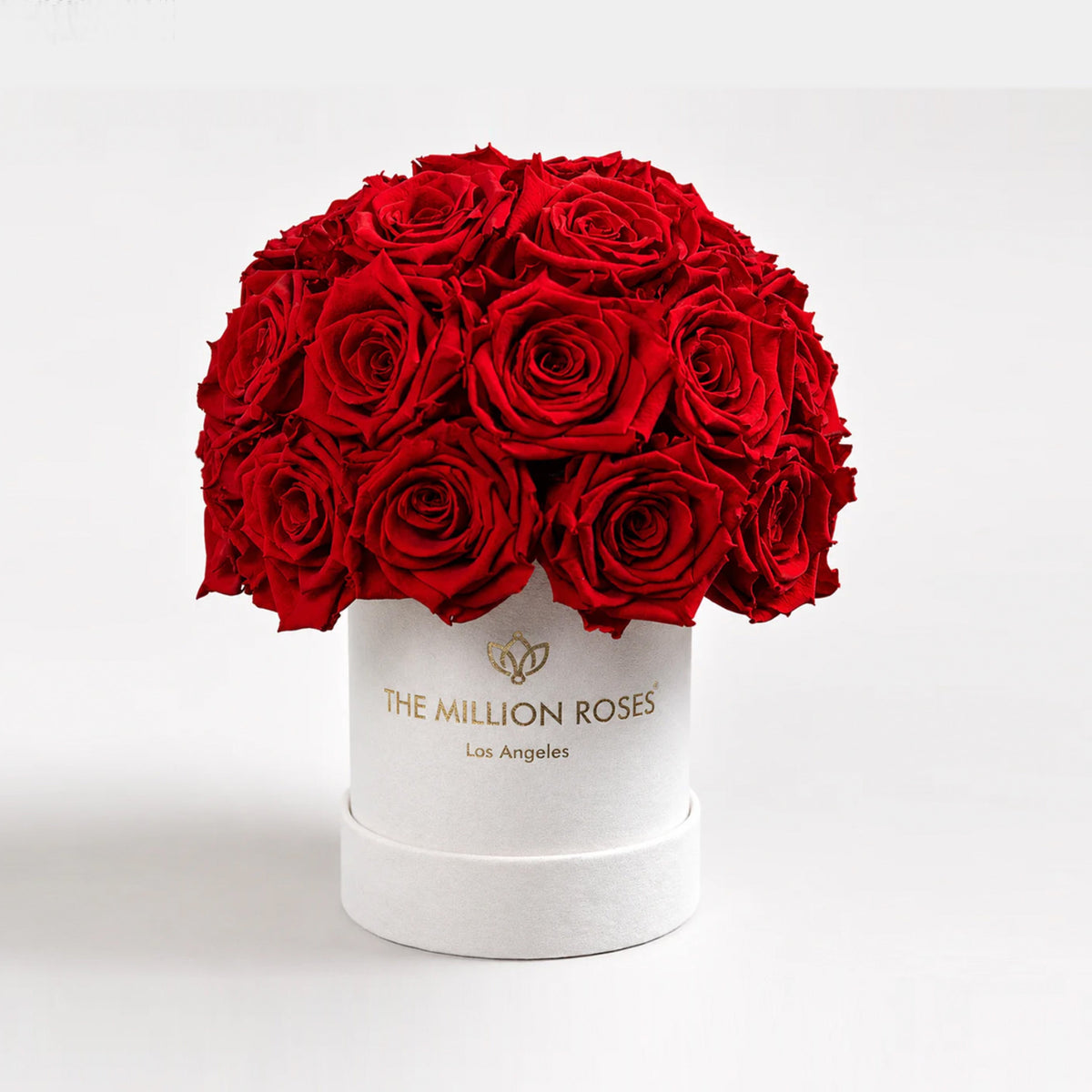 38-40 Red Preserved Roses in Beige Suede Dome Box