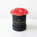 Single Coral Preserved Rose in Black Gift Box