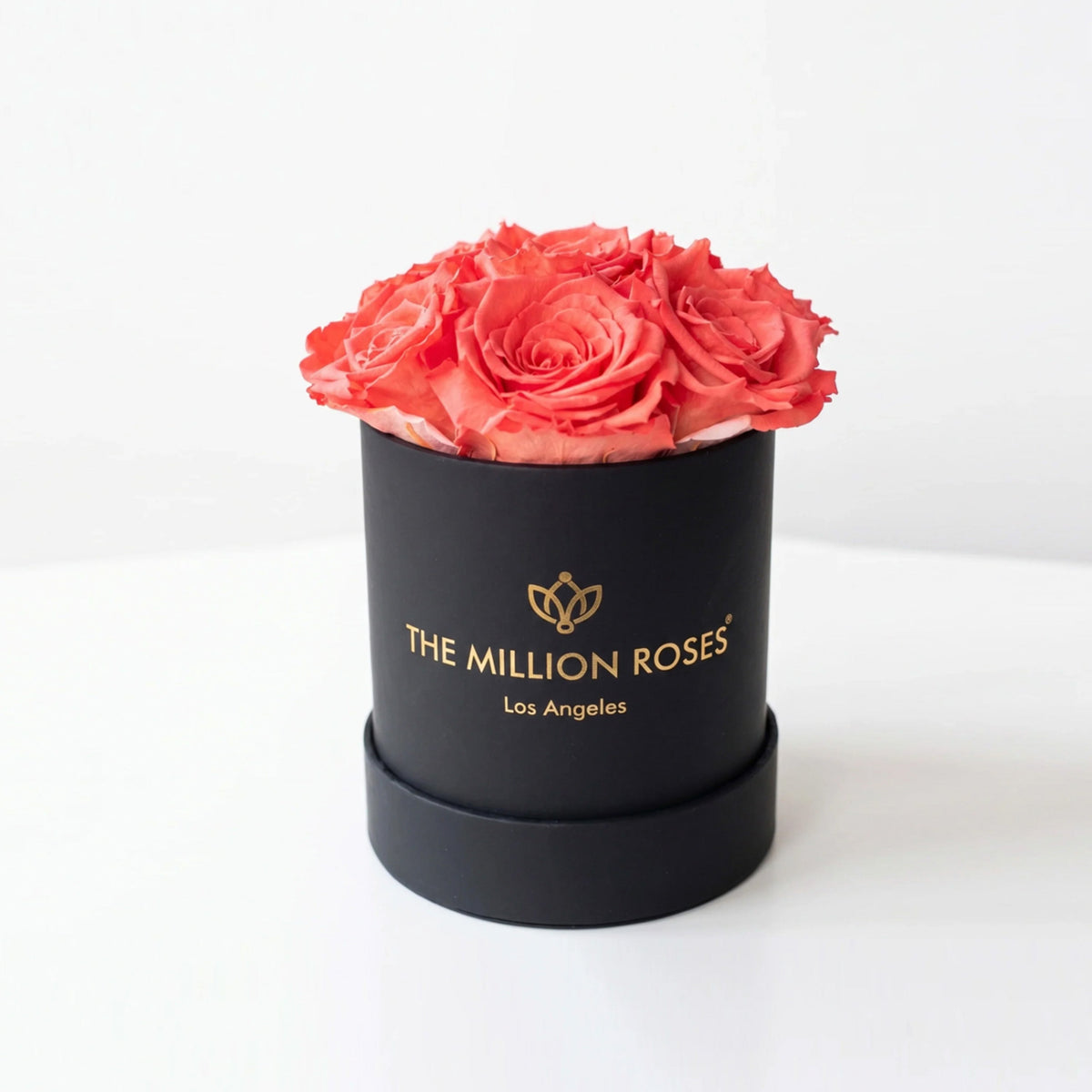 Single Coral Preserved Rose in Black Gift Box