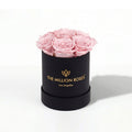 Single Pink Preserved Rose in Black Gift Box
