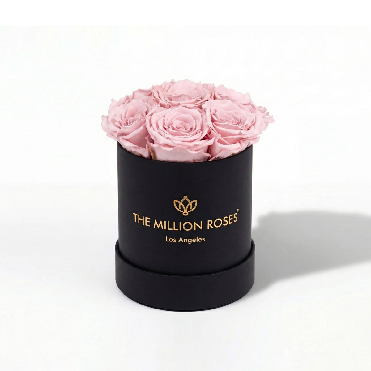 Single Pink Preserved Rose in Black Gift Box
