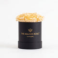 Single Ivory Preserved Rose Gift Box