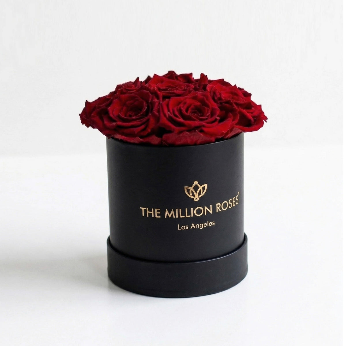Single Red Preserved Rose in Black Gift Box