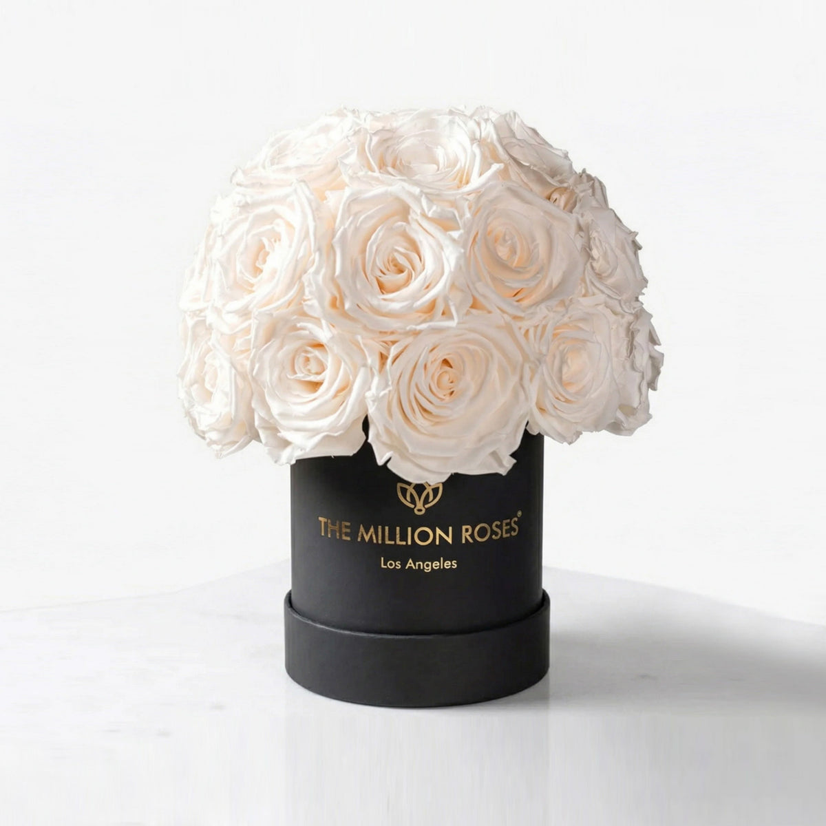 38-40 White Preserved Roses in Black Dome Box