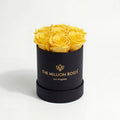 Single Yellow Preserved Rose in Black Gift Box