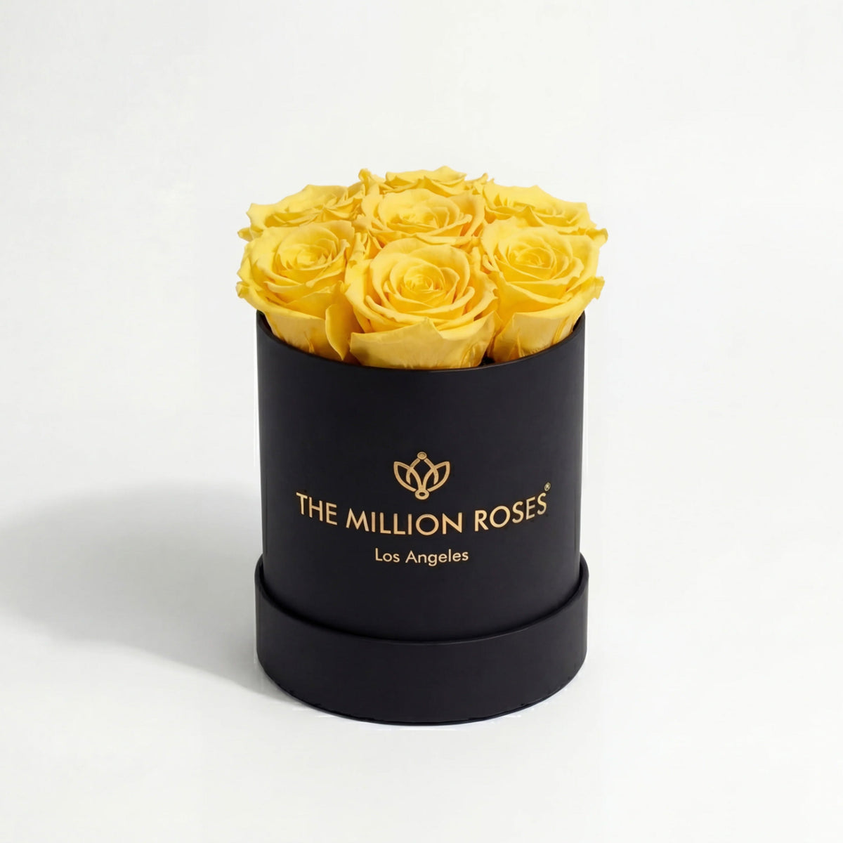 Single Yellow Preserved Rose in Black Gift Box