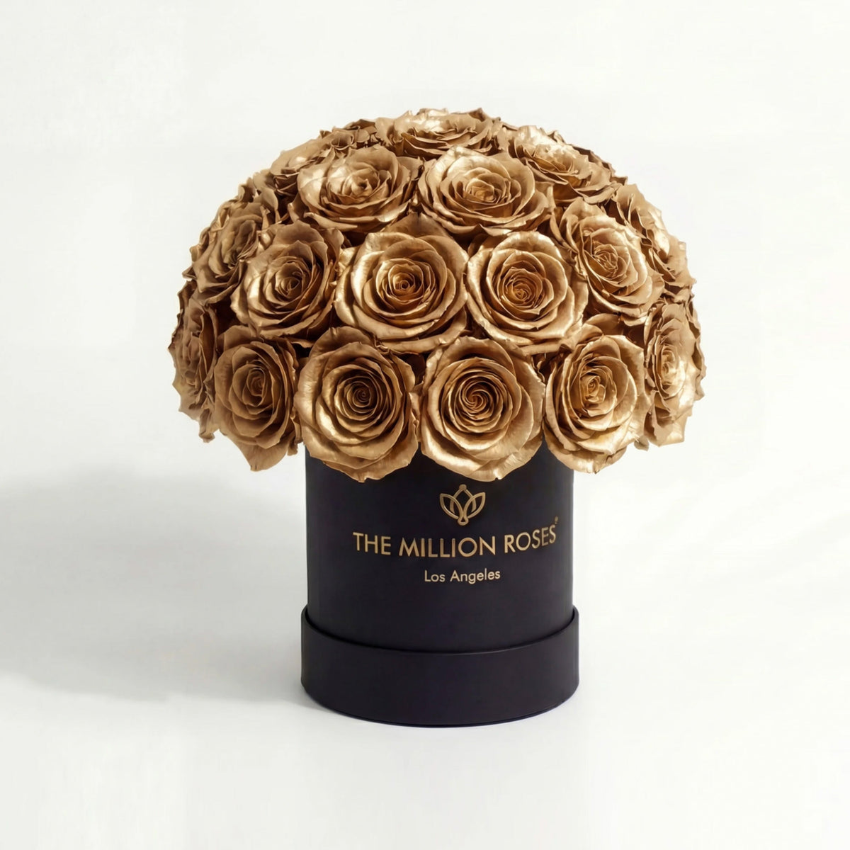 38-40 Gold Preserved Roses in Dome Box