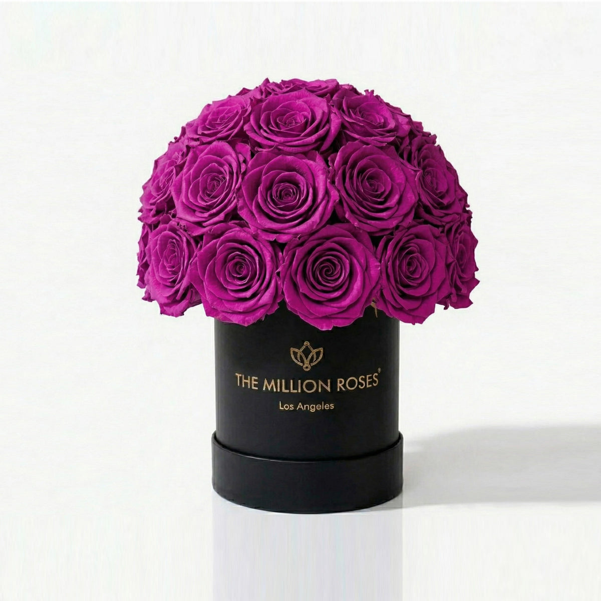 Purple Preserved Roses in Essence Black Dome Box