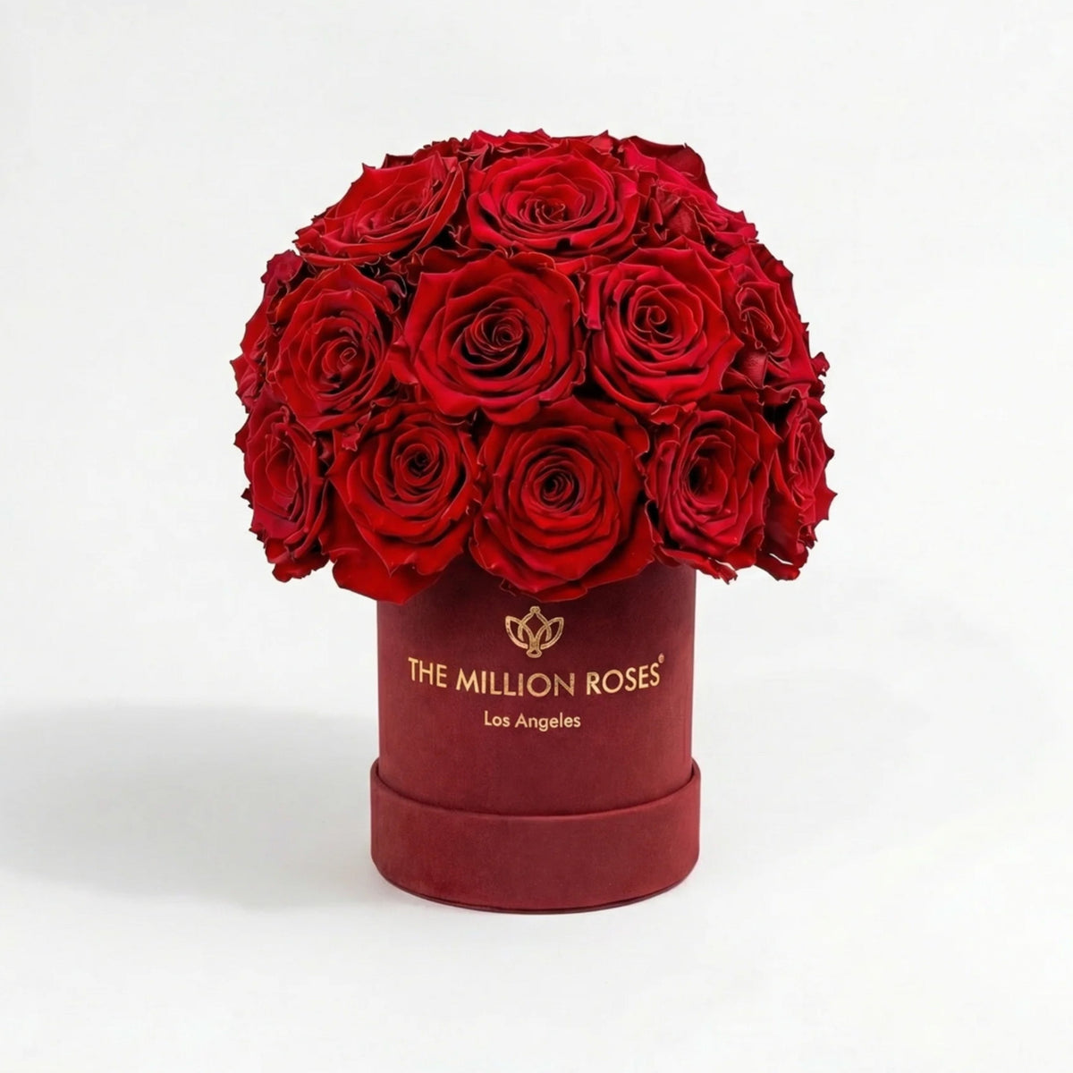 38-40 Red Preserved Roses in Suede Dome Box