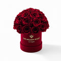 38-40 Burgundy Preserved Roses in Suede Dome Box