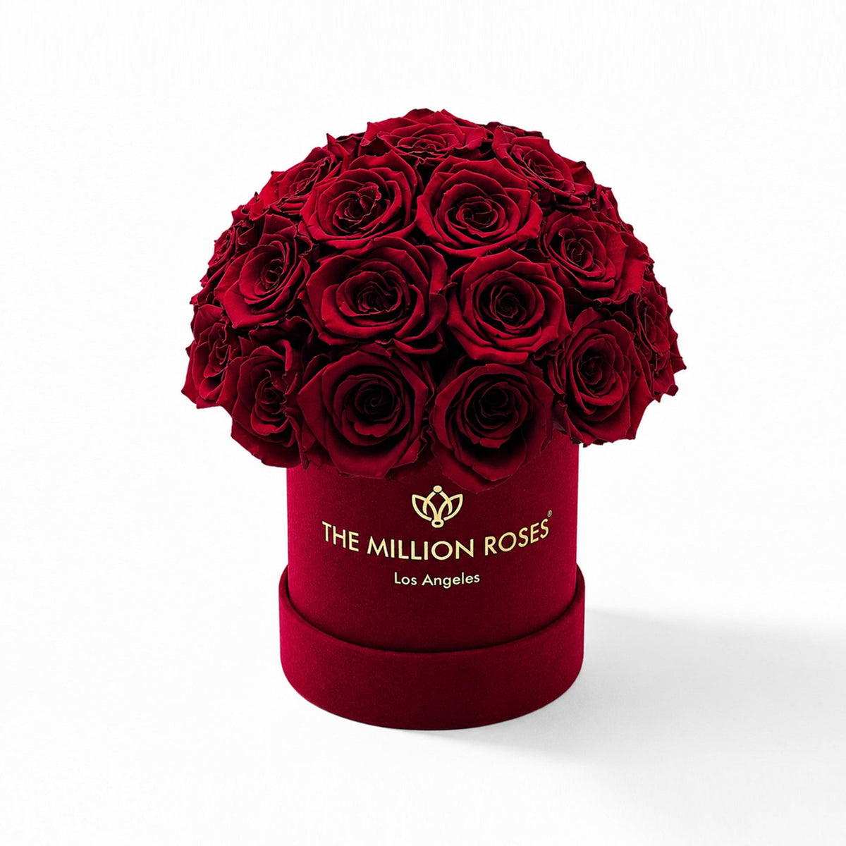 38-40 Burgundy Preserved Roses in Suede Dome Box