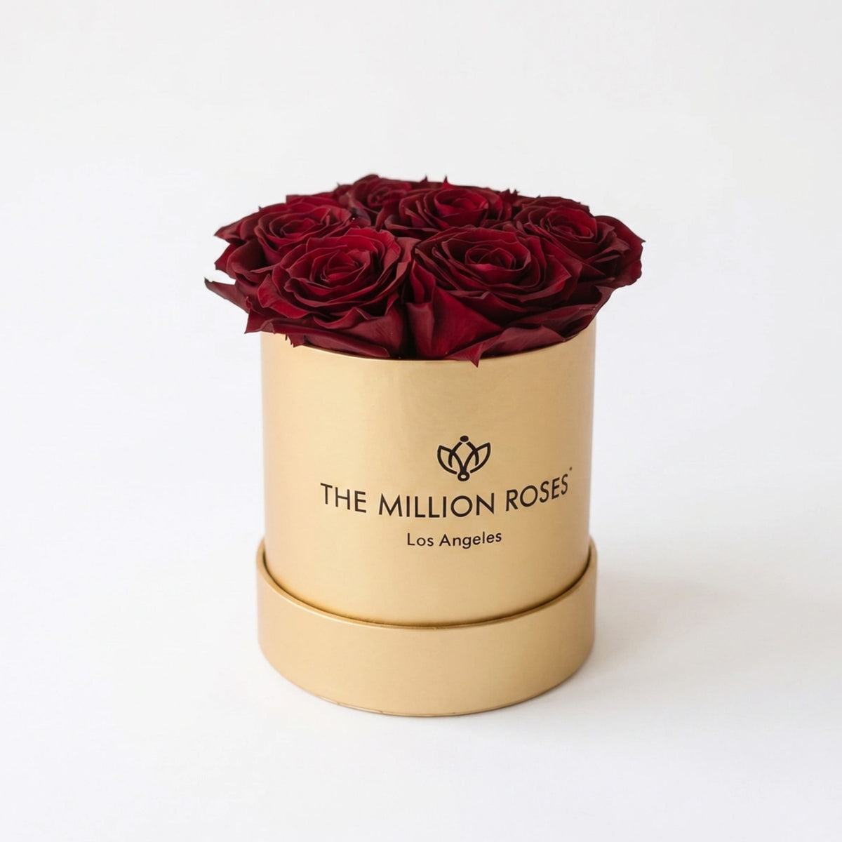 Single Burgundy Preserved Rose Gift Box