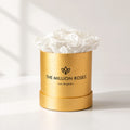 Single White Preserved Rose in Gold Gift Box