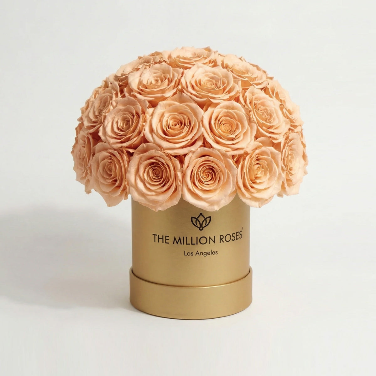 38-40 Peach Preserved Roses in Gold Dome Box