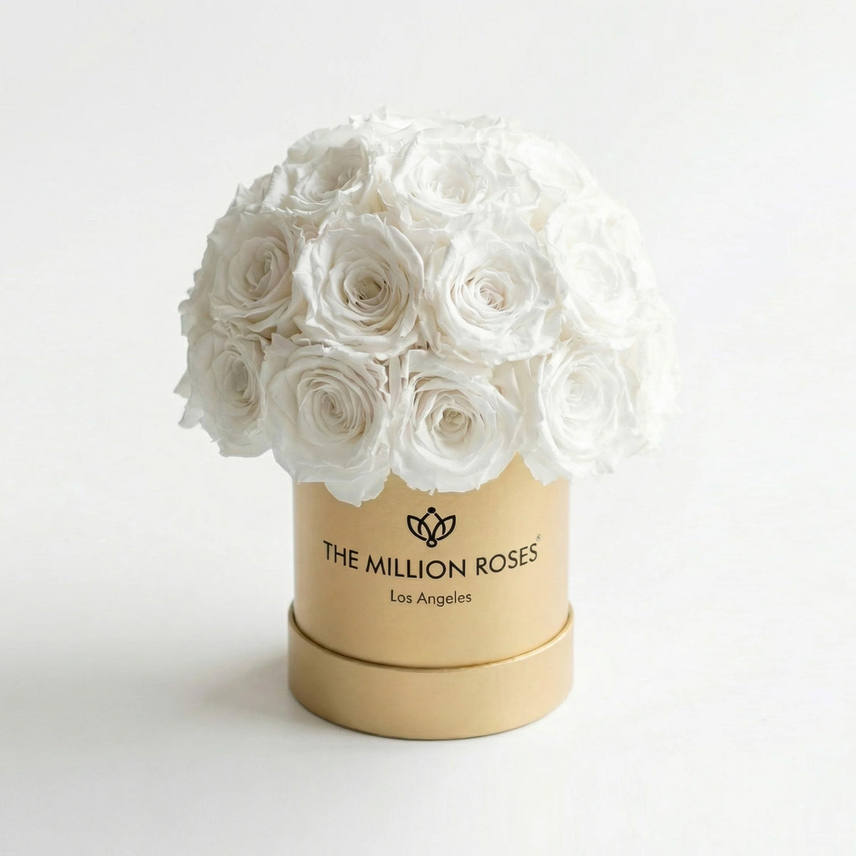 38-40 White Preserved Roses in Gold Dome Box