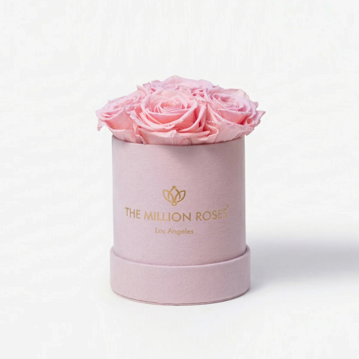 Single Pink Preserved Rose in Pink Suede Gift Box