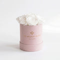 Single White Preserved Rose in Pink Suede Gift Box