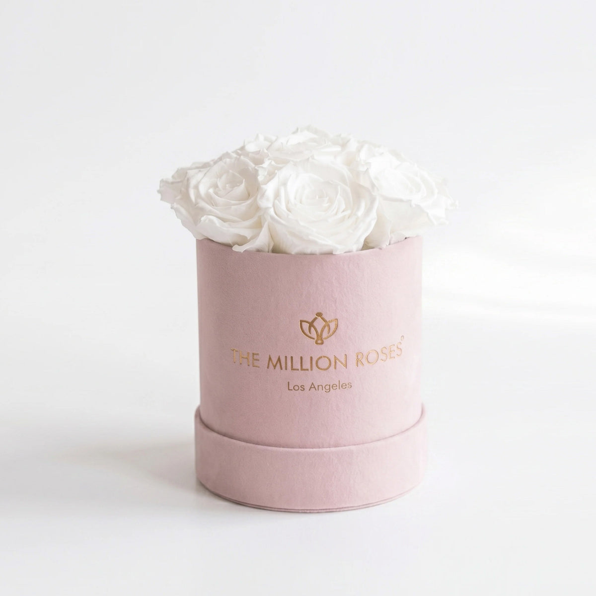 Single White Preserved Rose in Pink Suede Gift Box