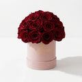 38-40 Burgundy Preserved Roses in Pink Suede Dome Box