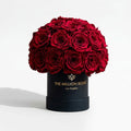 38-40 Red Preserved Roses in Black Dome Box