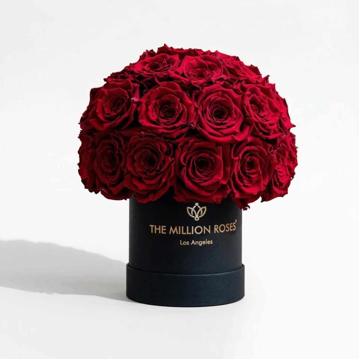 38-40 Red Preserved Roses in Black Dome Box