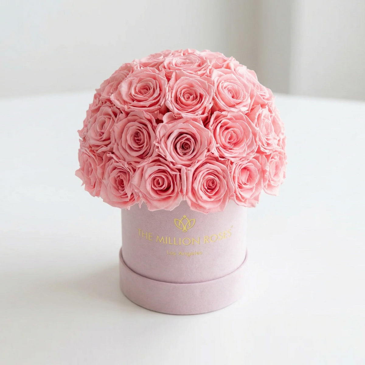 Pink Preserved Roses in Essence Pink Suede Dome Box