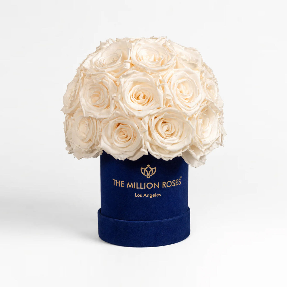 38-40 White Preserved Roses in Blue Suede Dome Box