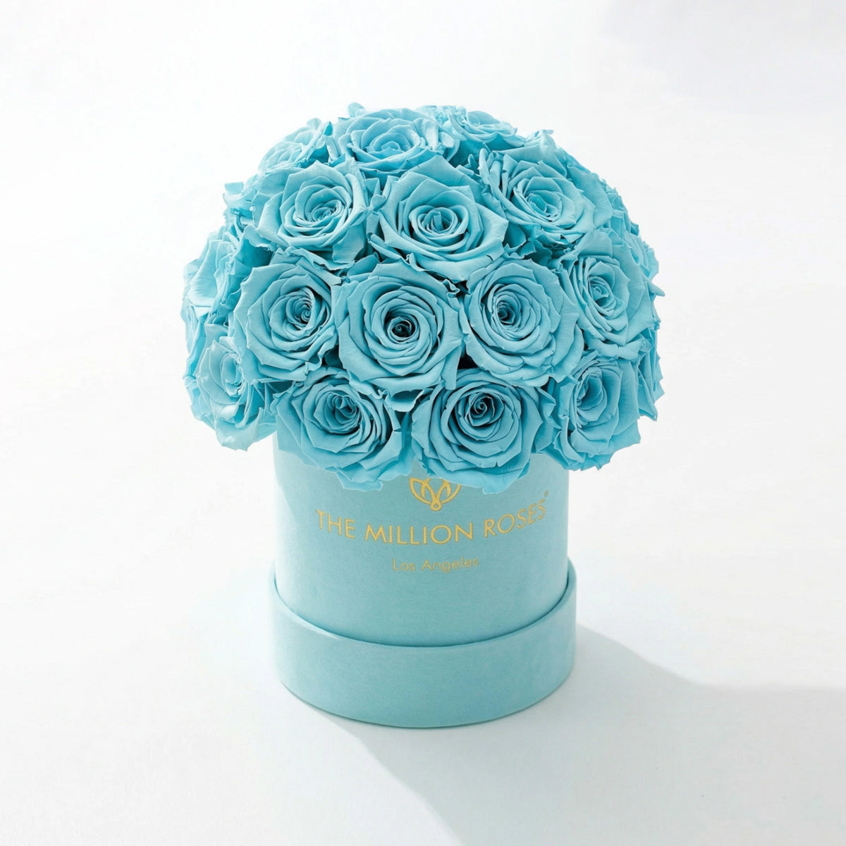 Mint Preserved Roses in Essence Green Suede Dome Box