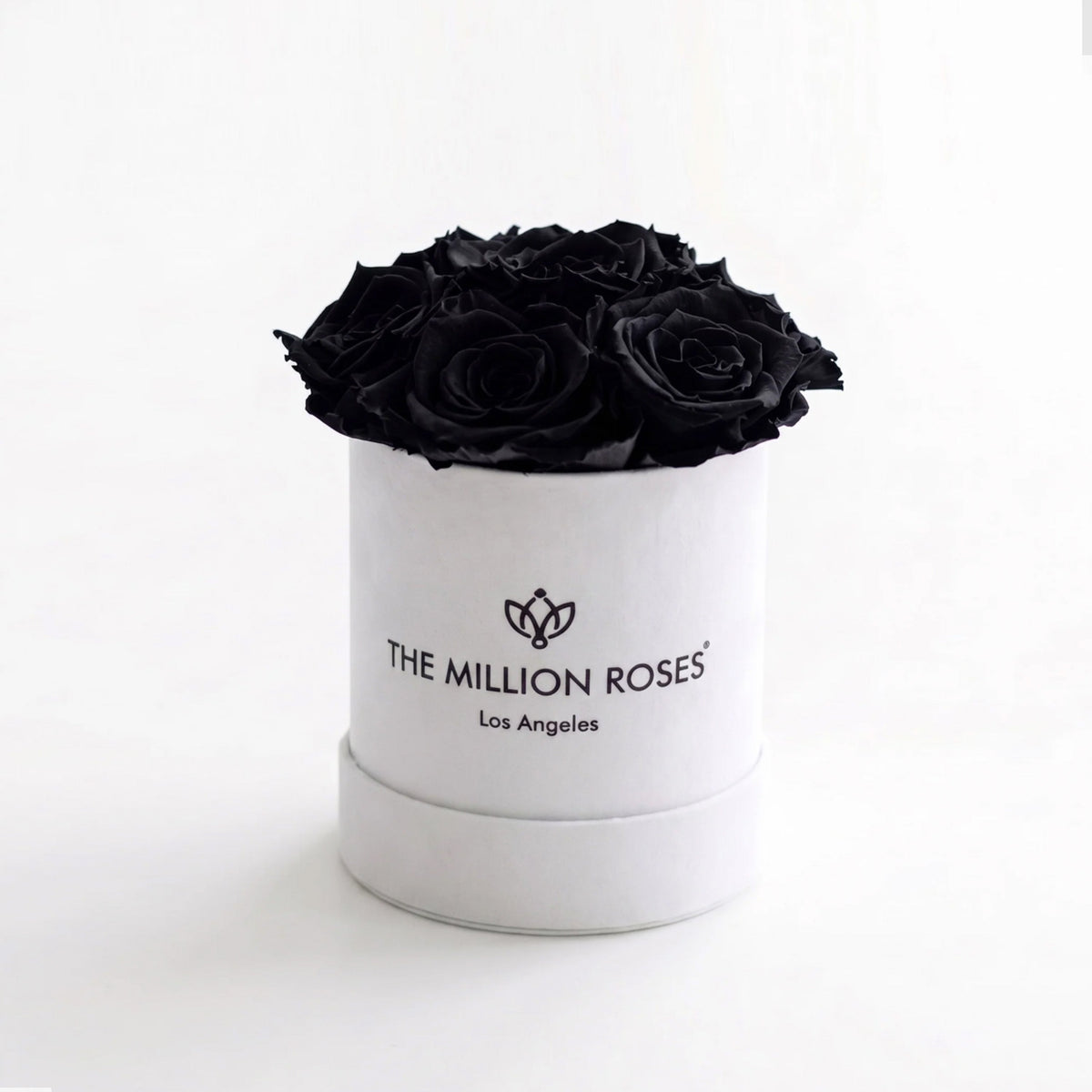 Single Black Preserved Rose in White Gift Box