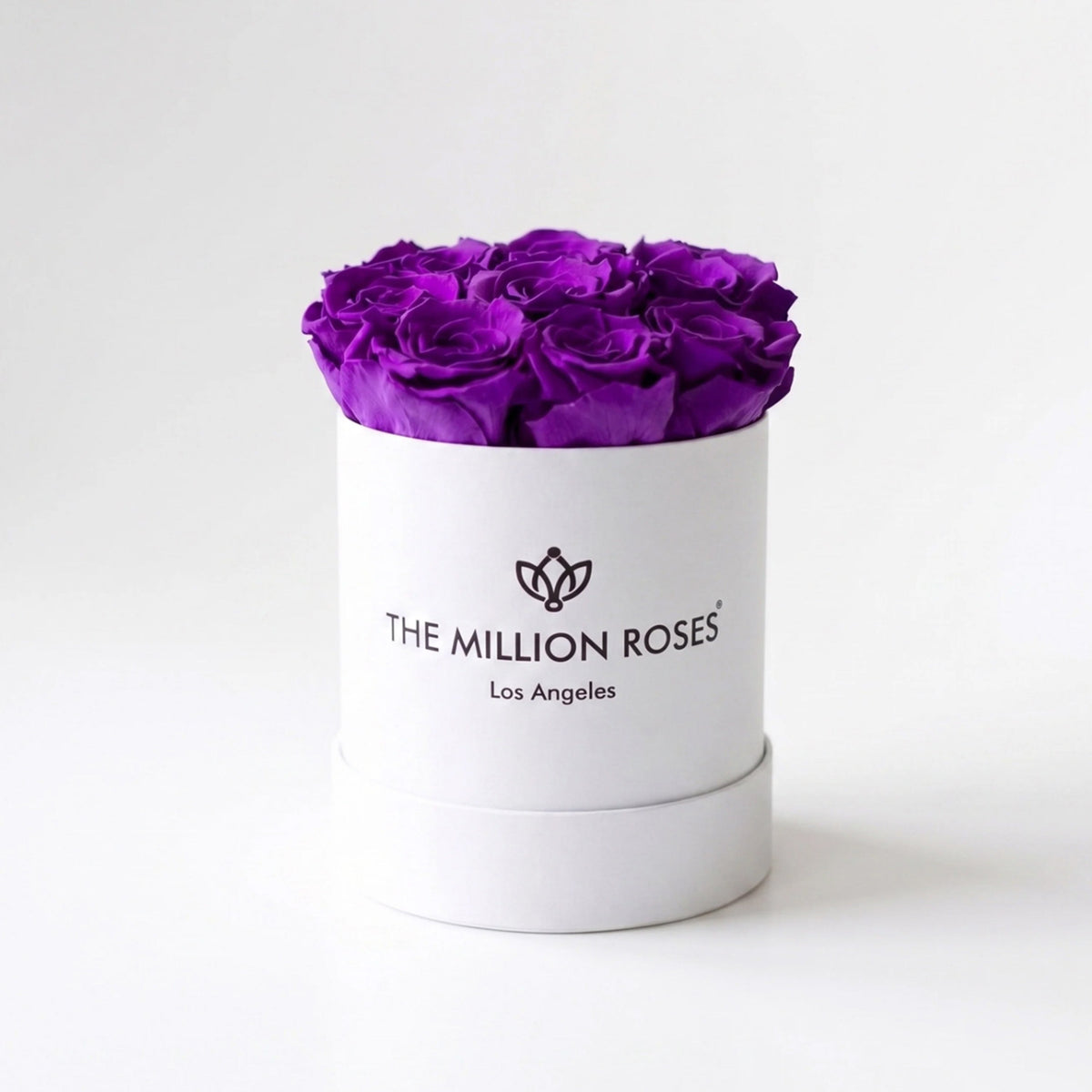 Single Purple Preserved Rose in White Gift Box