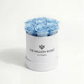 Single Blue Preserved Rose Gift Box