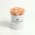Single Peach Preserved Rose in White Gift Box