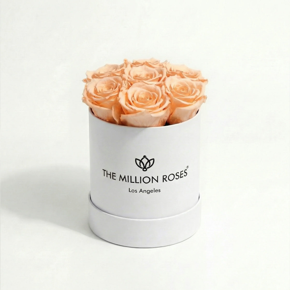 Single Peach Preserved Rose in White Gift Box