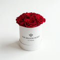 Single Red Preserved Rose in White Gift Box