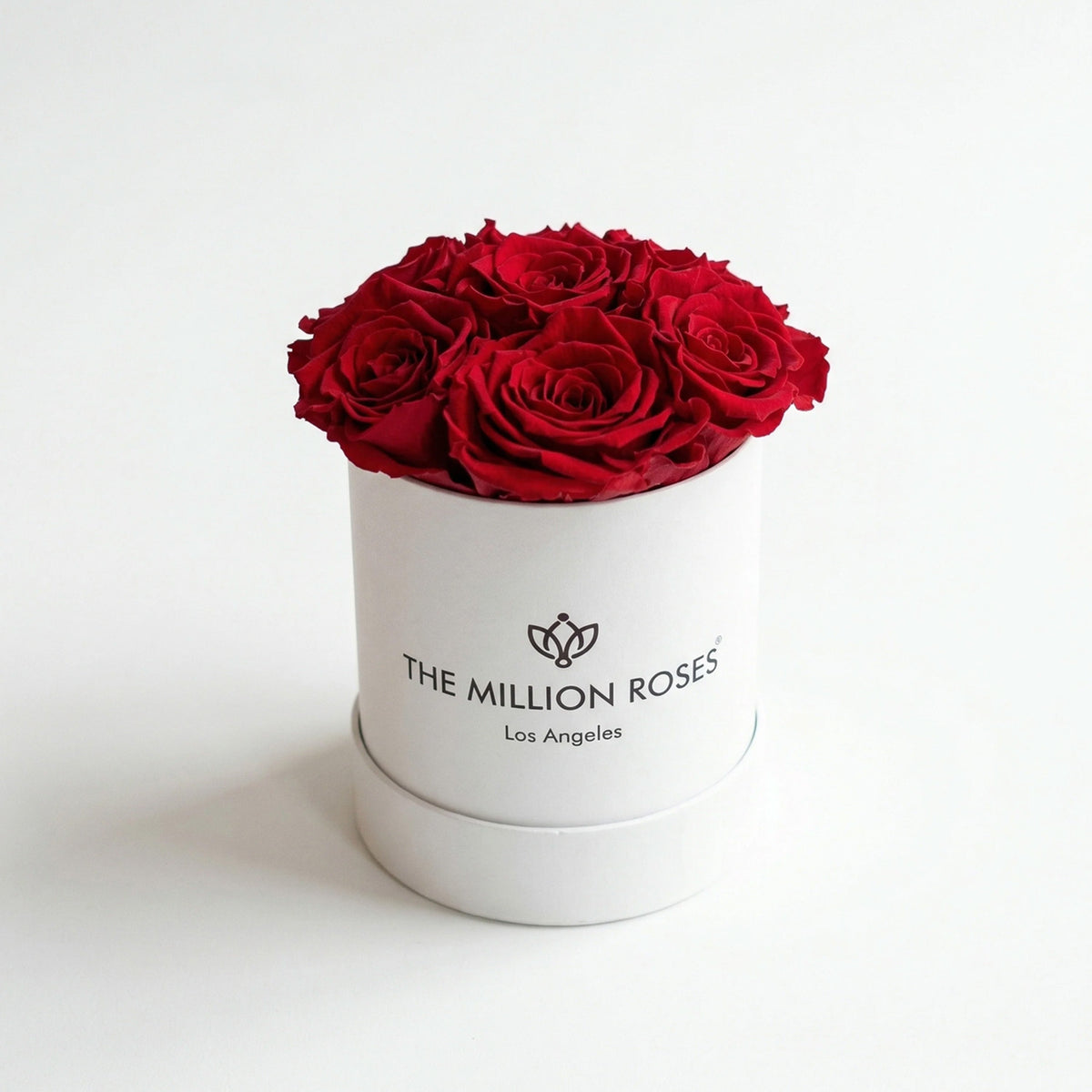 Single Red Preserved Rose in White Gift Box