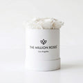 Single White Preserved Rose in White Gift Box