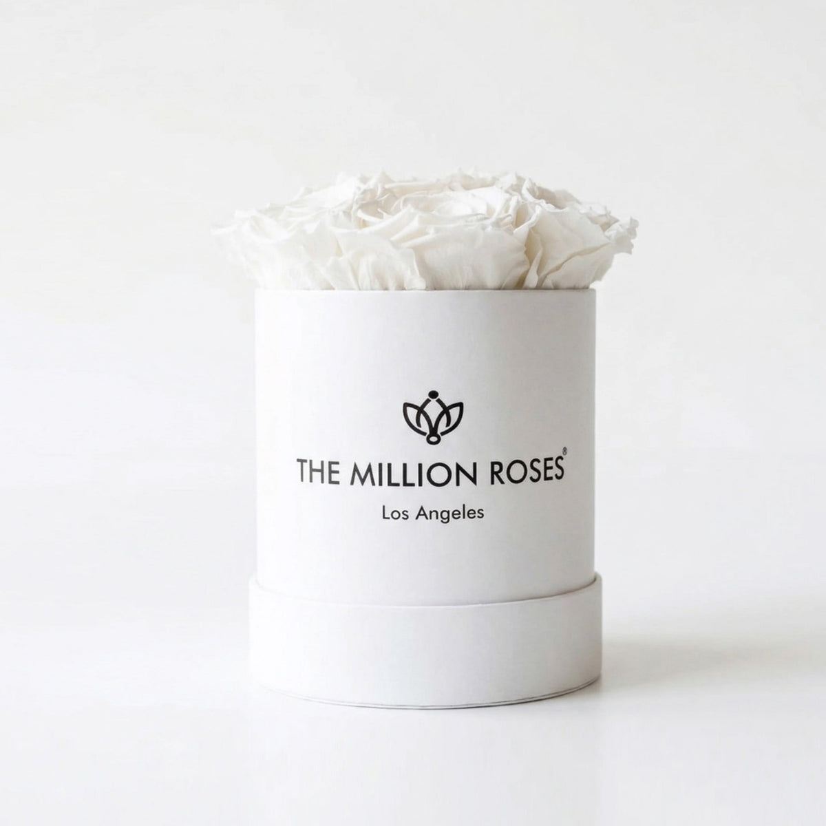 Single White Preserved Rose in White Gift Box