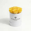 Single Yellow Preserved Rose in White Gift Box