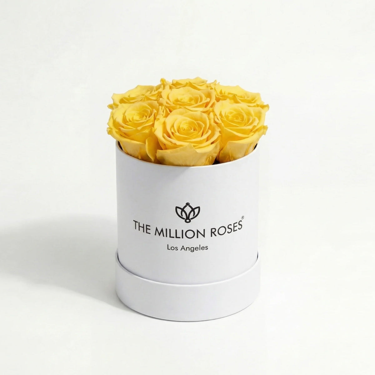 Single Yellow Preserved Rose in White Gift Box