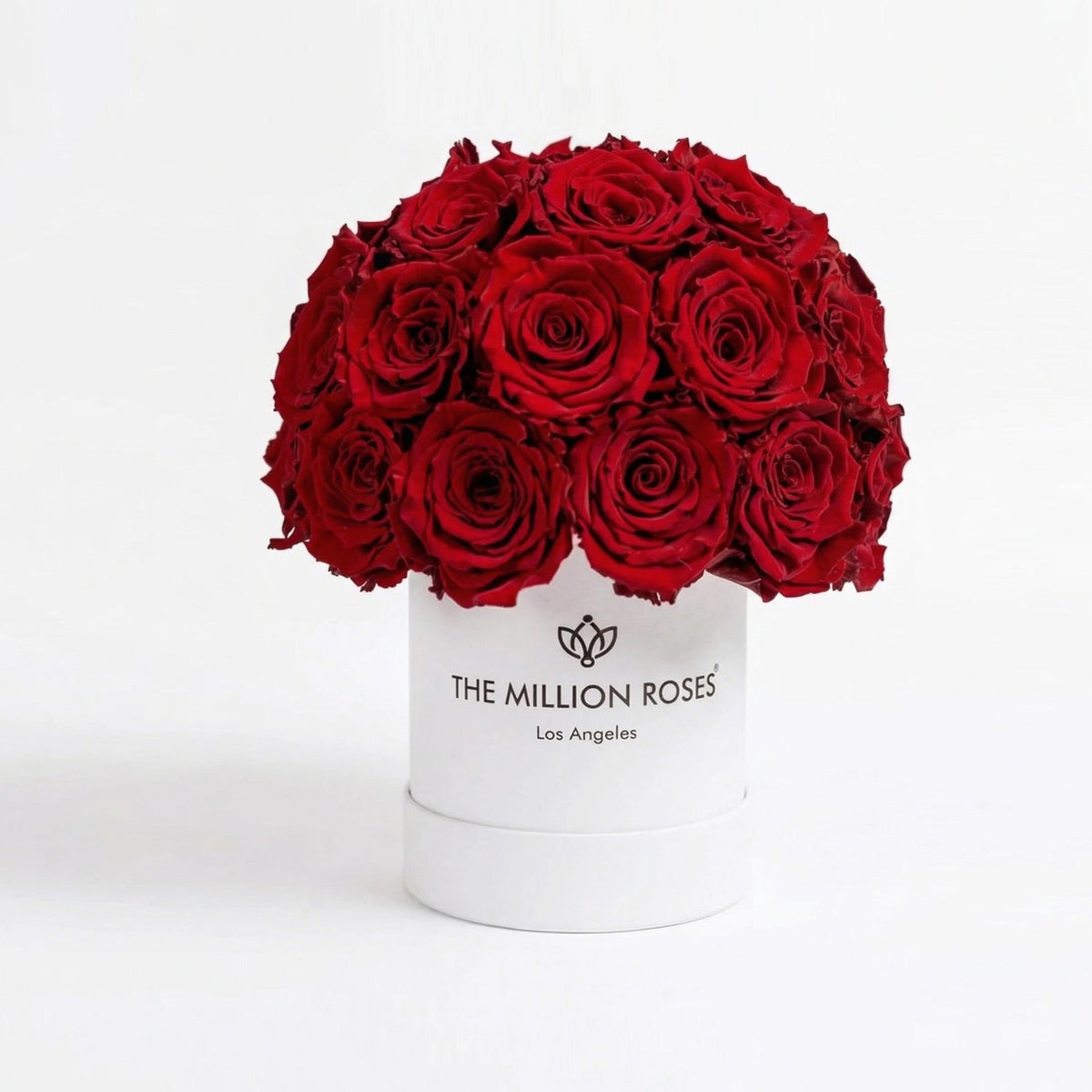 38-40 Red Preserved Roses in White Dome Box